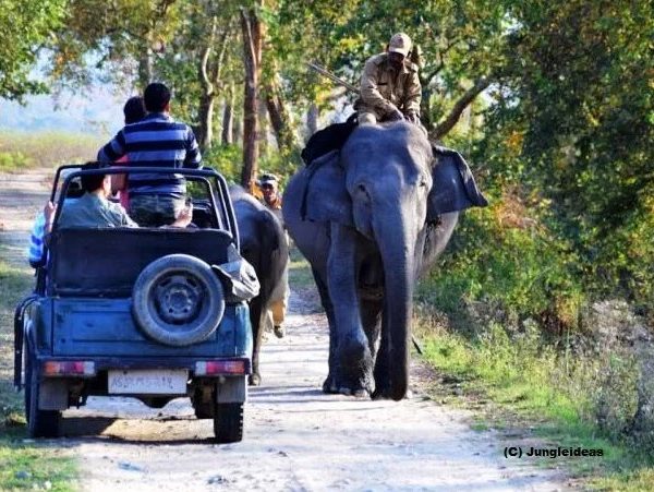 jungle-safari-tour-packages-assam-meghalaya-1