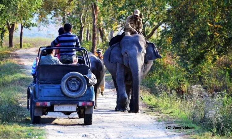 jungle-safari-tour-packages-assam-meghalaya-1