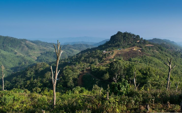 Nokrek National Park