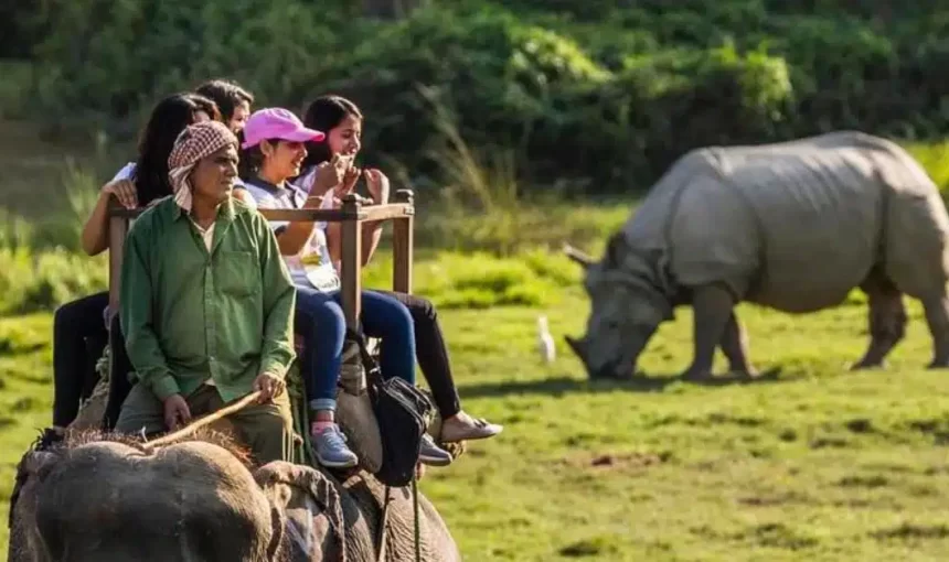 Guwahati to Pobitora Wildlife Sanctuary Taxi: Your Gateway to an Adventure in Nature