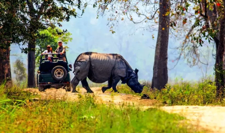 Top 20 Assam Tourism Best Tour Destinations